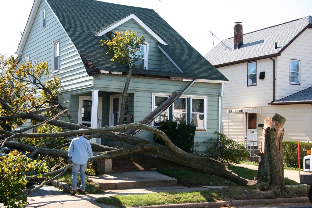 Damaged House From Tree